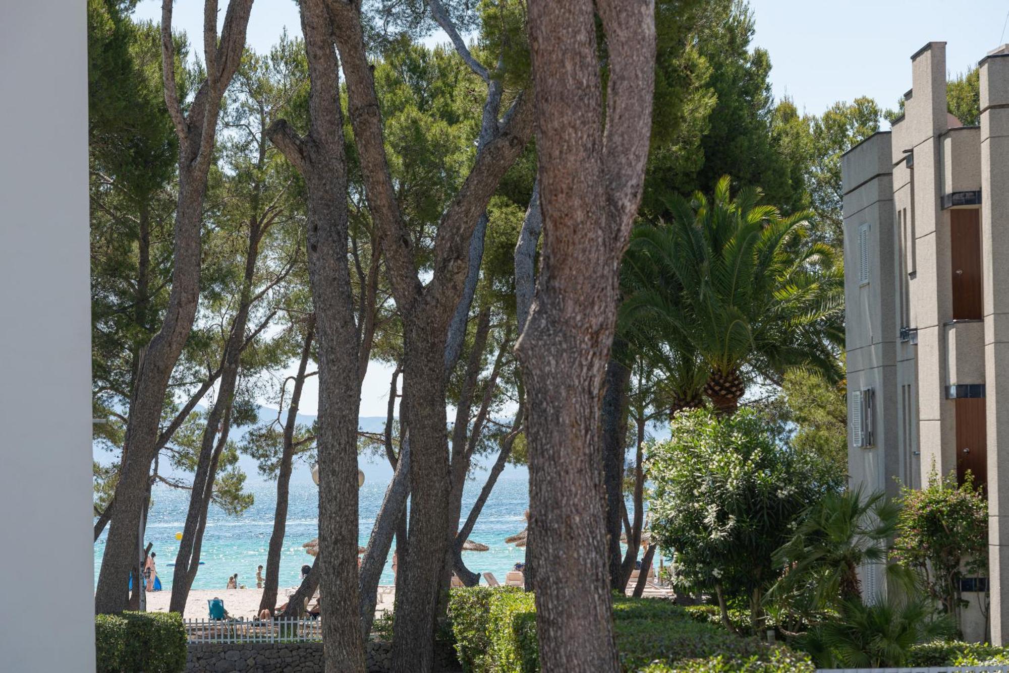 Assimetric, A Solo 50 Metros De La Playa *